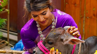 Anupama Parameswaran: ఆ సినిమా అంత కంఫర్ట్‏గా అనిపించలేదు..  ఓ ఛాలెంజ్‌లా తీసుకున్నా.. అనుపమ..