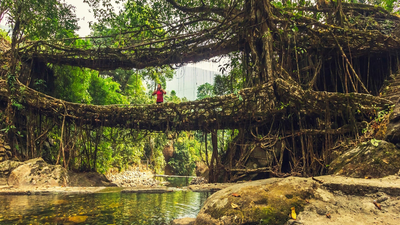 ఆసియాలోనే అత్యంత పరిశుభ్రమైన గ్రామంగా గుర్తింపు పొందిన మావ్లిన్నాంగ్ పర్యాటకులకు ఒక స్వర్గపు అనుభవాన్నిస్తుంది.. ఇక్కడి ప్రజలు పరిశుభ్రతకు అత్యంత ప్రాధాన్యత ఇస్తారు. గ్రామం మొత్తం రంగురంగుల పూలతో అలంకరించబడి ఉంటుంది. పర్యాటకులు ఇక్కడి లివింగ్ రూట్ బ్రిడ్జిని చూడటానికి సుదూర ప్రాంతాల నుండి వస్తారు.