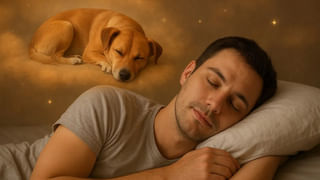 Janmashtami 2025: శ్రీ కృష్ణుడు కిరీటంలో నెమలి ఈకను ఎందుకు ధరిస్తాడు? ఆధ్యాత్మిక రహస్యం ఏమిటంటే..