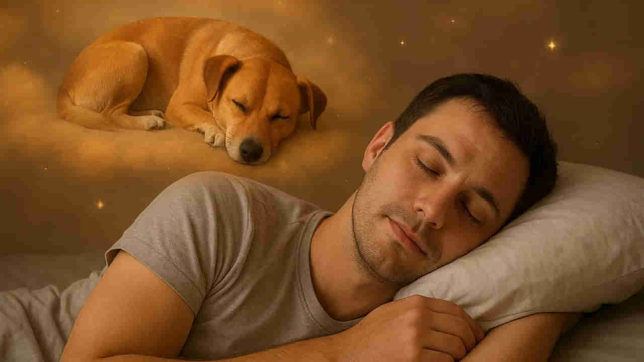 Swapan Shastra: కలలో కుక్క కనిపిస్తుందా.. ఇలా కనిపిస్తే ద్రోహానికి సంకేతం.. తస్మాత్ జాగ్రత్త..