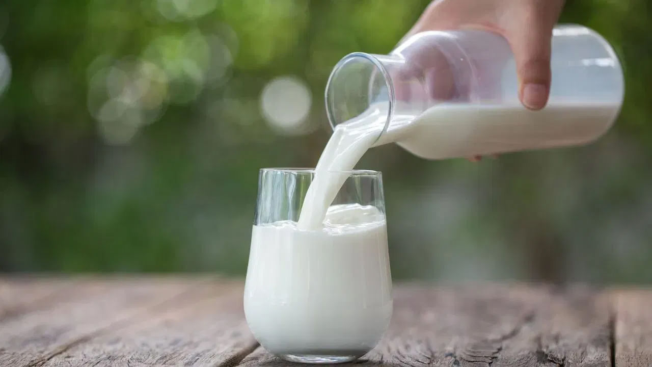 Health Tips: ఉదయాన్నే ఖాళీ కడుపుతో పాలు తాగుతున్నారా..? తప్పక ఈ విషయాలు తెలుసుకోండి.. – Telugu News | Why you should not drink milk on an empty stomach, you must know these things