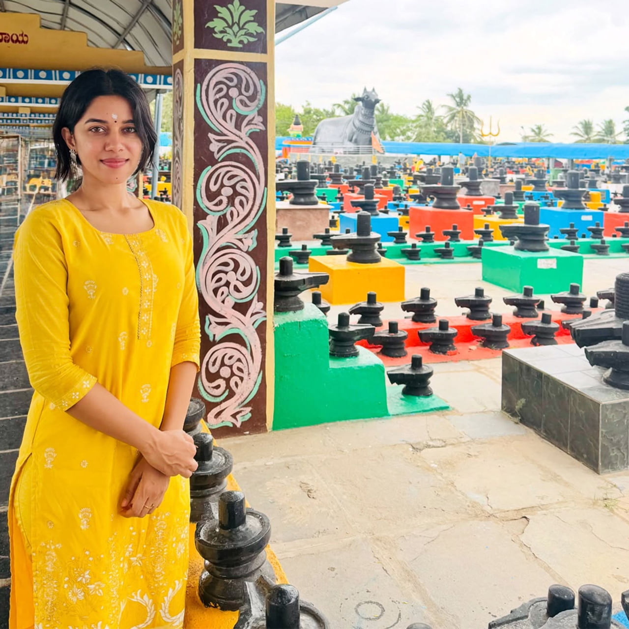  మృణాళిని రవి ప్రధానంగా తమిళం మరియు తెలుగు సినిమాల్లో పనిచేస్తుంది. ఈ చిన్నది 2019లో విడుదలైన తమిళ చిత్రం సూపర్ డీలక్స్ ద్వారా సినీరంగంలోకి అడుగుపెట్టింది. అంతకుముందు సోషల్ మీడియాలో డబ్‌స్మాష్ మరియు టిక్‌టాక్ వీడియోలతో పాపులర్ అయింది.