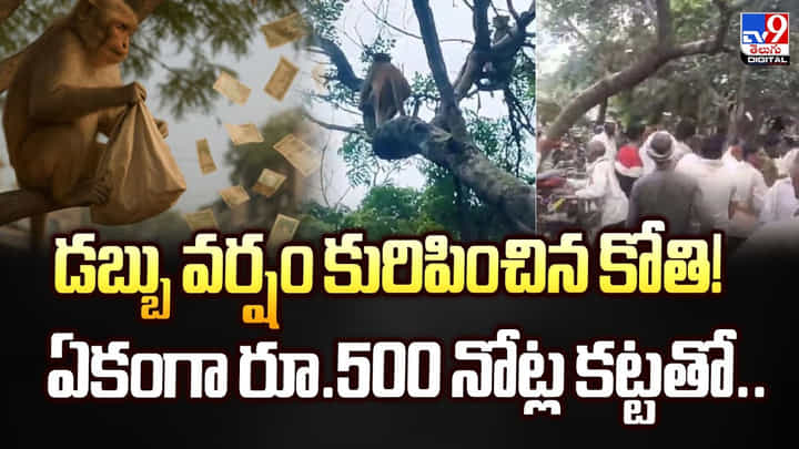 డబ్బు వర్షం కురిపించిన కోతి..! ఏకంగా రూ.500 నోట్ల కట్టతో డబ్బు వర్షం కురిపించిన కోతి..! ఏకంగా రూ.500 నోట్ల కట్టతో