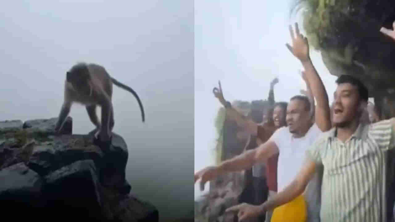 Viral Video: వీళ్లెవరండి బాబు.. నాకంటే ఘోరంగా ఉన్నారు... బాయ్స్ చేష్టలకు కోతి స్టన్నింగ్ రియాక్షన్!