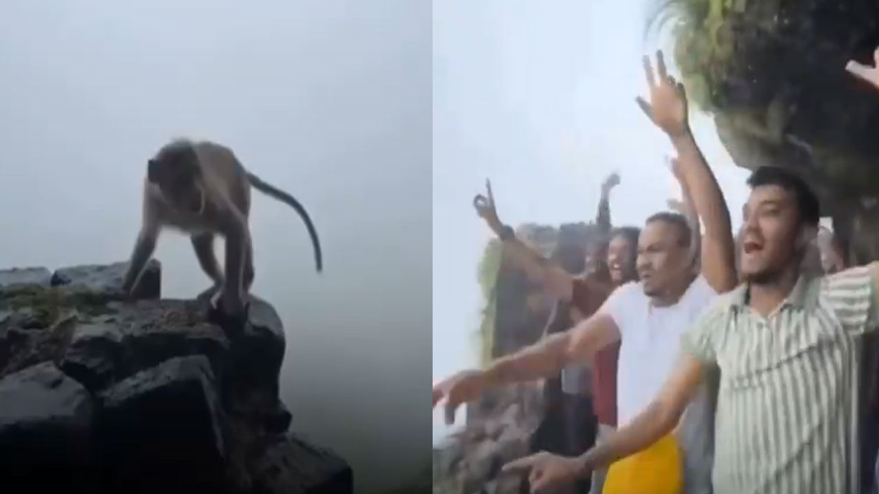 Viral Video: వీళ్లెవరండి బాబు.. నాకంటే ఘోరంగా ఉన్నారు... బాయ్స్ చేష్టలకు కోతి స్టన్నింగ్ రియాక్షన్!