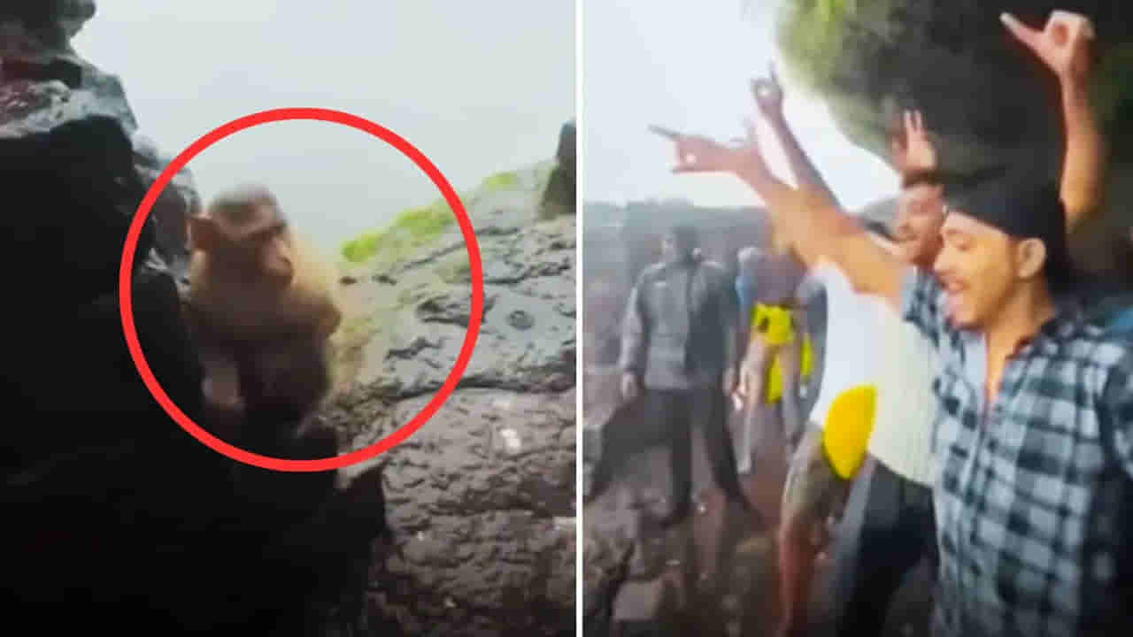 Watch: ఎత్తైన కొండపై కోతి.. ఎదురుగా డ్యాన్స్ చేస్తున్న యువకులు..వానరం చేసిన పనితో ఒక్కసారిగా...