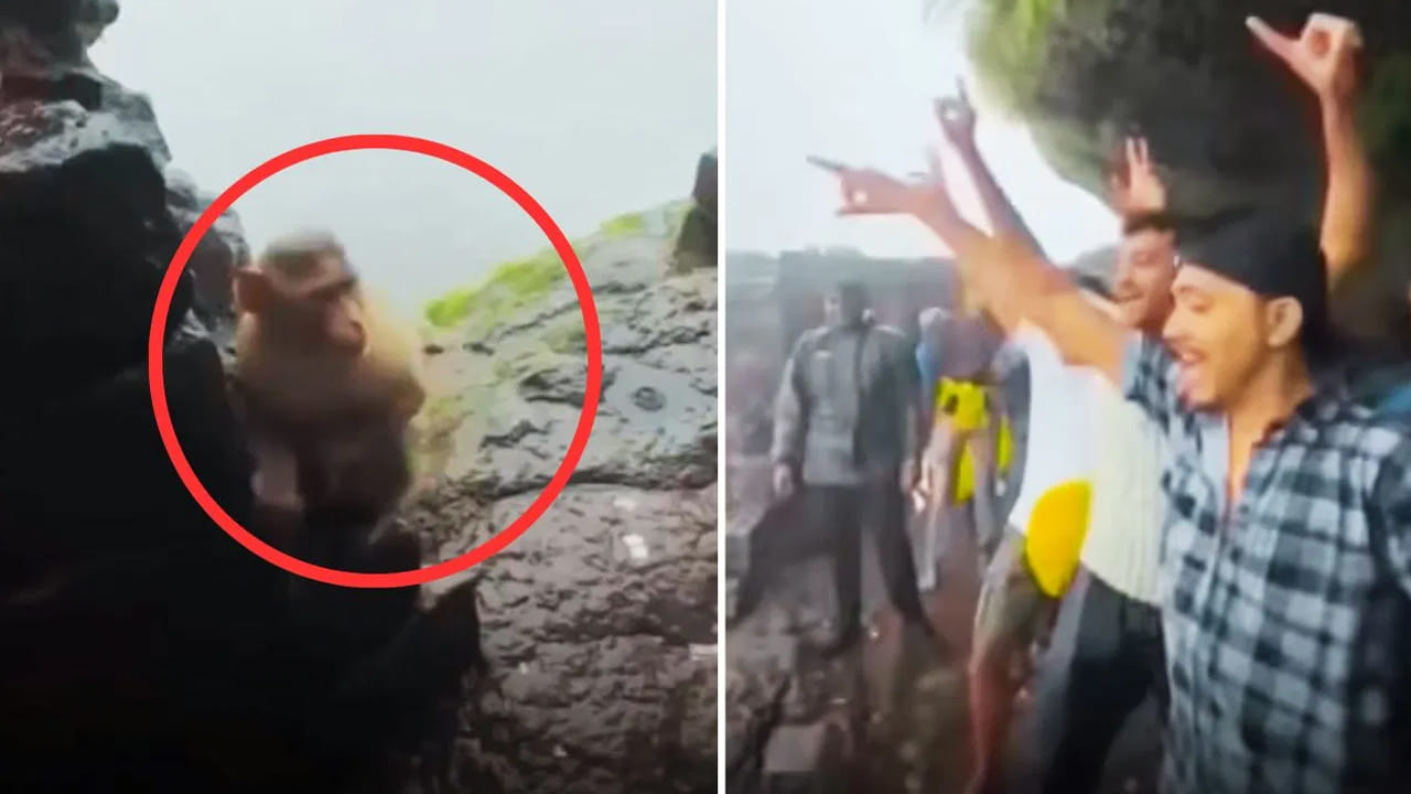 Watch: ఎత్తైన కొండపై కోతి.. ఎదురుగా డ్యాన్స్ చేస్తున్న యువకులు..వానరం చేసిన పనితో ఒక్కసారిగా...