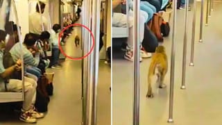 Viral Video: ‘మేం కాళ్లు పట్టుకుని అడిగినా ఇవ్వరు కదా సార్’.. ఆ అమ్మాయి అలా చేయగానే..