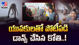 యువకులతో పోటీపడి డాన్స్ చేసిన కోతి యువకులతో పోటీపడి డాన్స్ చేసిన కోతి