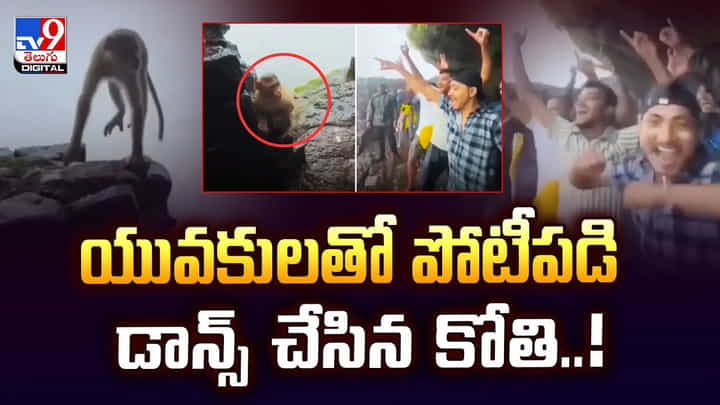 యువకులతో పోటీపడి డాన్స్ చేసిన కోతి యువకులతో పోటీపడి డాన్స్ చేసిన కోతి