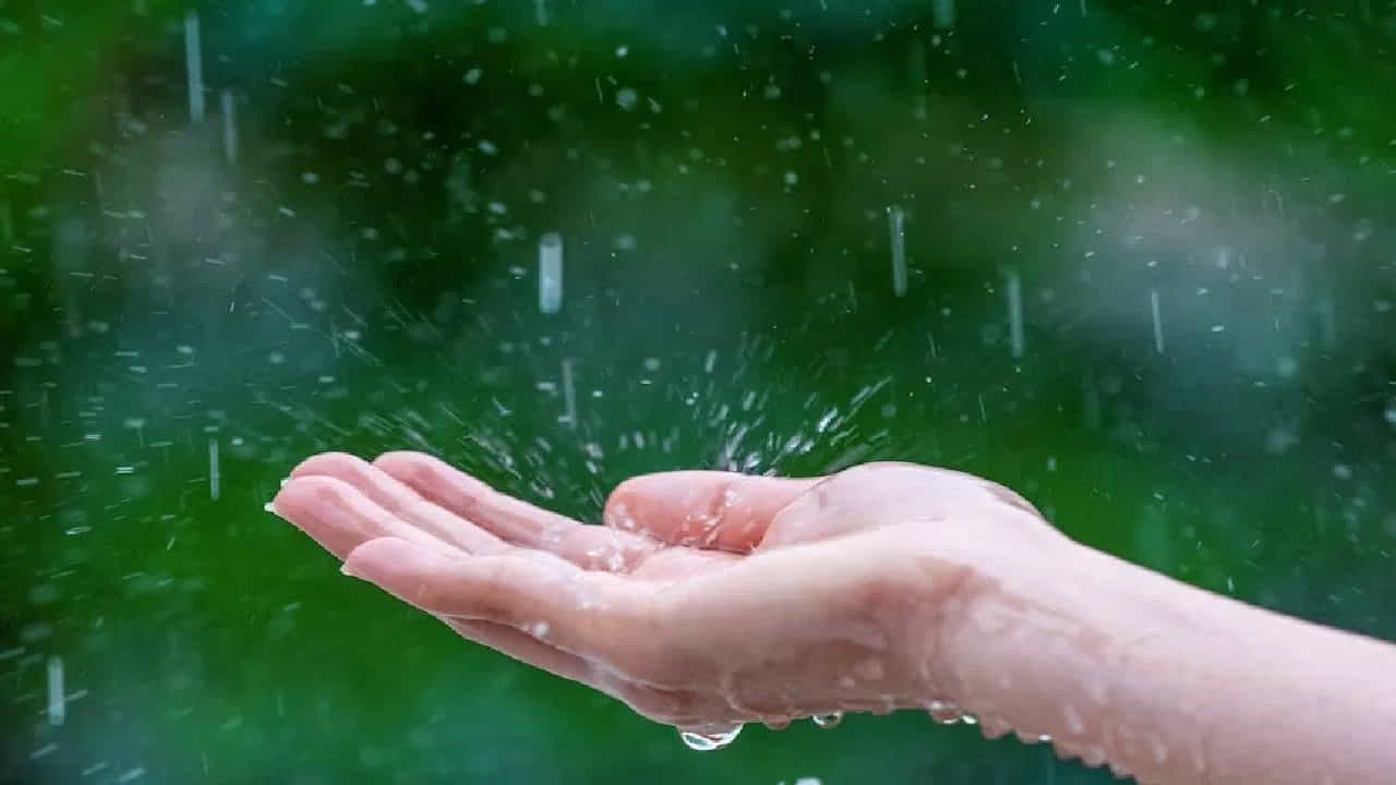 వ్యాయామం చేయండి:
వర్షాకాలంలో వ్యాయామం చేయడం మానుకోకండి. తేలికపాటి వ్యాయామం లేదా యోగా చేయడం వల్ల శరీరం చురుగ్గా ఉండి, రోగనిరోధక శక్తి పెరుగుతుంది. ఈ చిన్నపాటి జాగ్రత్తలు తీసుకోవడం ద్వారా మీరు వర్షాకాలాన్ని ఆనందంగా గడపవచ్చు. మరియు వ్యాధుల బారి నుంచి మిమ్మల్ని మీరు కాపాడుకోవచ్చు.
