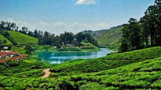 గుండె జబ్బులు రాకుండా ఉండాలంటే ఈ 4 రకాల చేపలు తినాల్సిందే..! వారానికి రెండుసార్లు తింటే చాలు..!