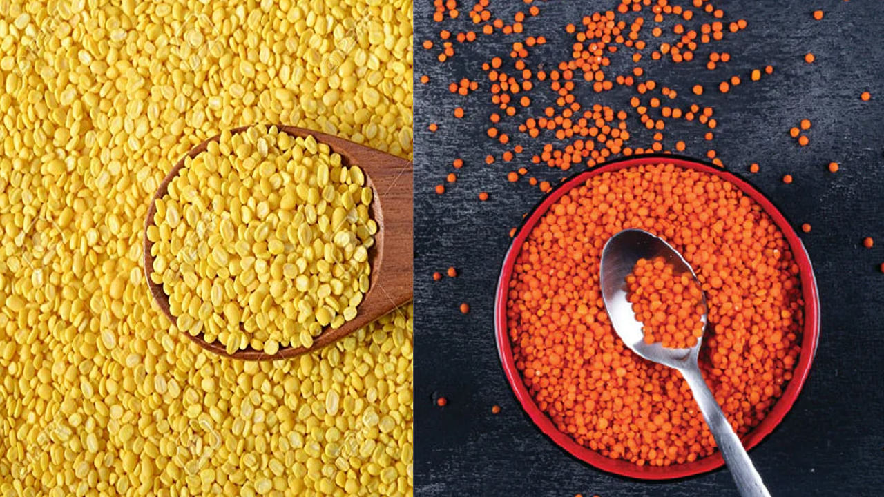Moong Vs Masoor Dal: పెసరపప్పు - ఎర్రపప్పు.. ఆరోగ్యానికి ఏది మంచిది..? తప్పక తెలుసుకోండి..