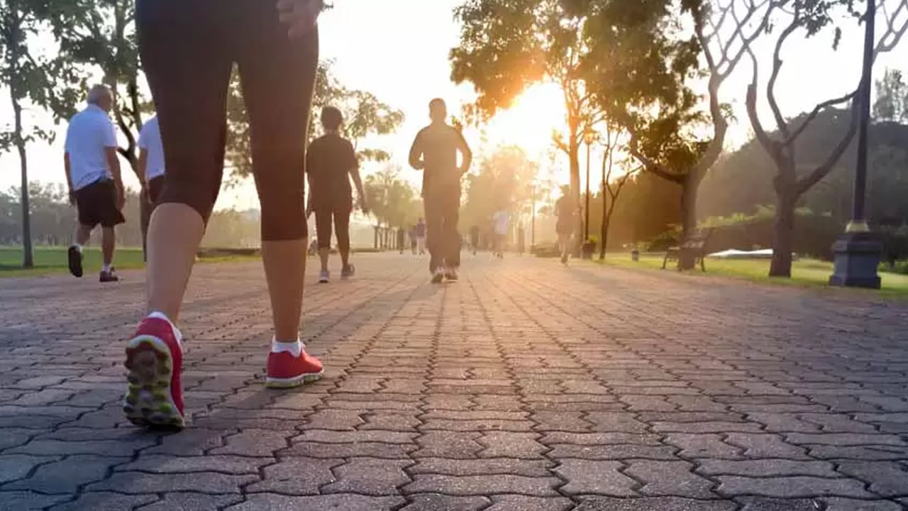 Morning Walk Mistakes: మార్నింగ్‌ వాకింగ్‌కి వెళ్లే ముందు టాయిలెట్‌కి వెళ్తున్నారా? ఆ తప్పులు చేశారో షెడ్డుకే..