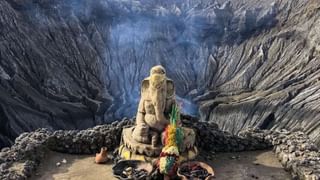 Astrology: తులసి మొక్కకు రోజూ నీళ్లు పోస్తున్నారా?.. ఈ దోషం మిమ్మల్ని ఏం చేయలేదు..