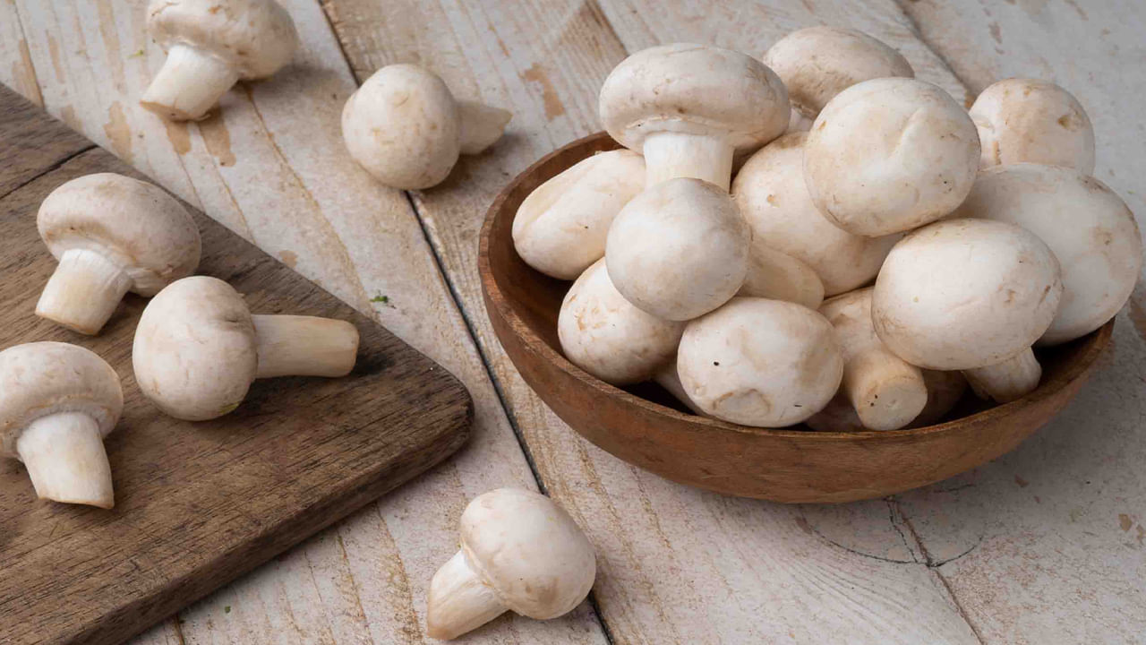 పుట్టగొడుగులు విటమిన్ డి, రోగనిరోధక శక్తికి చాలా ప్రయోజనకరంగా ఉంటాయి. చాలా మంది మాంసానికి బదులుగా పుట్టగొడుగుల వంటకాలను తినడానికి ఇష్టపడతారు. పుట్టగొడుగులు తేమగా ఉండే ప్రదేశాలలో పెరిగే ఫంగస్ కాబట్టి, వర్షాకాలంలో ఈ పుట్టగొడుగులపై ఎక్కువ బ్యాక్టీరియా పెరుగుతుంది. కాబట్టి, వాటిని తినకుండా ఉండాలని నిపుణులు చెబుతున్నారు.