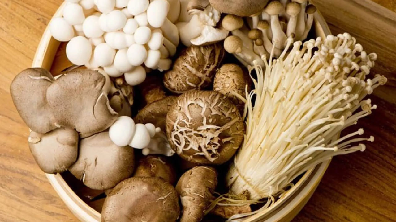 పుట్టగొడుగులను కొనే ముందు వాటిపై ఎక్కువ మురికి లేకుండా చూసుకోండి. పుట్టగొడుగులు చెడిపోకుండా కాపాడటానికి వాటిపై కొద్దిగా ఎరువులు ఉంటాయి. పుట్టగొడుగులను కొనే సమయంలో గుర్తుంచుకోవలసిన ముఖ్యమైన విషయం ఏమిటంటే, పుట్టగొడుగు కాండం లోపల నల్లగా ఉందో లేదో చూడటం. పుట్టగొడుగు నల్లగా కనిపిస్తే, వెంటనే దానిని పారవేయండి.