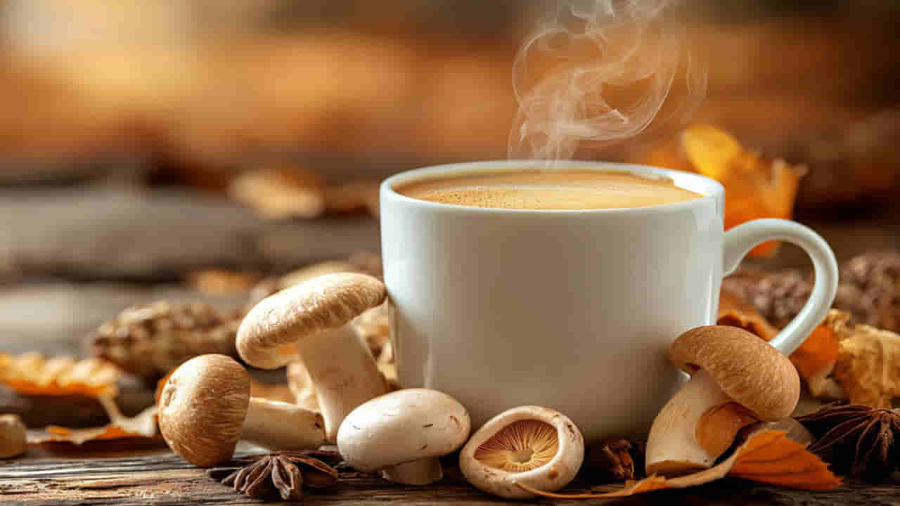 Mushroom Coffee: మష్రూమ్ కాఫీ.. ఇది ట్రెండ్ మాత్రమే కాదు.. ఎవరూ చెప్పని హెల్త్ సీక్రెట్