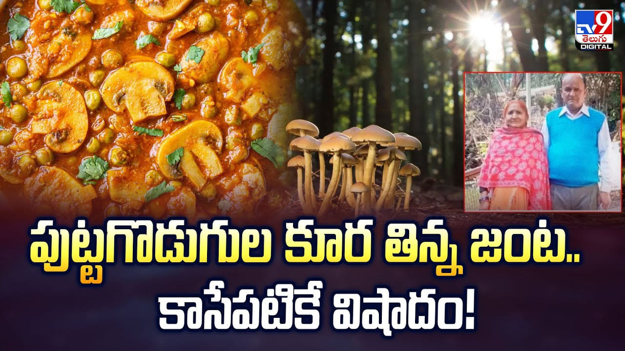 పుట్టగొడుగుల కూర తిన్న జంట.. కాసేపటికే విషాదం వీడియో