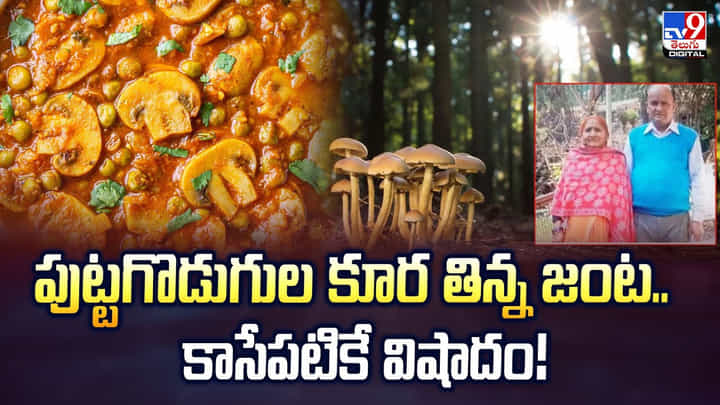 పుట్టగొడుగుల కూర తిన్న జంట.. కాసేపటికే విషాదం వీడియో పుట్టగొడుగుల కూర తిన్న జంట.. కాసేపటికే విషాదం వీడియో