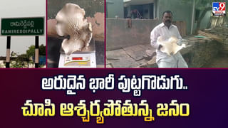 మొబైల్ లో మునిగి పోయిన ముసలివాడు.. ఎక్కాల్సిన రైలు వెళ్లిపోతుండగా.. ఏం చేసాడంటే