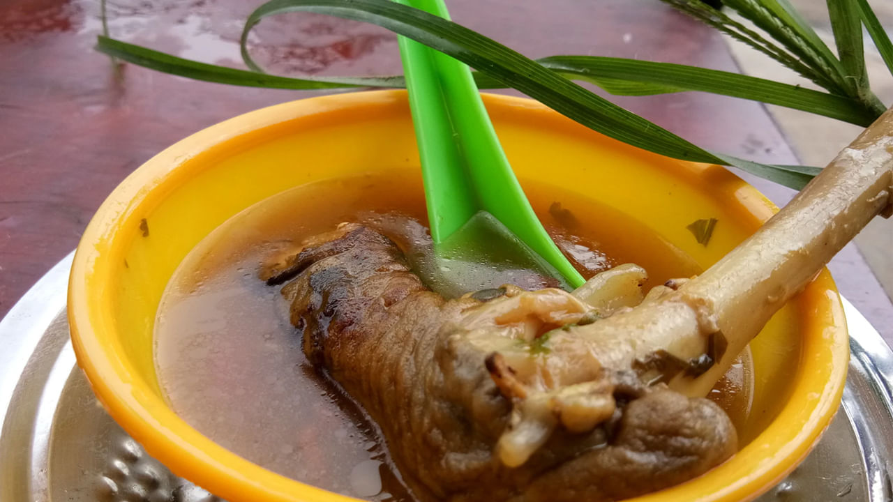 గొర్రె లేదా మేక కాళ్లల్లో కొలాజెన్ ఎక్కువగా ఉంటుంది. అందువలన ఇది లూబ్రికెంట్ లా పని చేస్తుందంట. ఈ సూప్ రోజూ తాగడం వలన కేవలం కీళ్లు, ఎముకల బలానికే కాకుండా ఇది చర్మసౌందర్యానికి ఉపయోగపడుతుందంట. అలాగే పేగు పనితీరుకు, కాలేయపనితీరుకు కూడా బాగా ఉపయోగపడుతుందని చెబుతున్నారు వైద్య నిపుణులు.