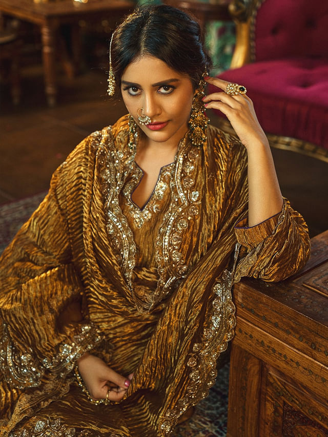 యువరాణిలా ముస్తాబైన నభా నటేష్.. నెట్టింట దూసుకుపోతున్న ఫోటోస్