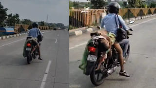 Video: అదృష్టవంతుడు.. కొద్దిలో ఏనుగు కాలికింద నలిగిపోయేవాడు..! కానీ..