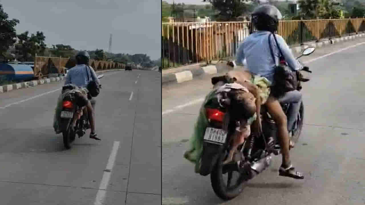 Video: బైక్పై భార్య డెడ్బాడీ..! అసలు విషయం తెలిస్తే కన్నీళ్లు పెట్టుకుంటారు..