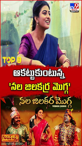 ఆకట్టుకుంటున్న 'నల జిలకర్ర మొగ్గ'