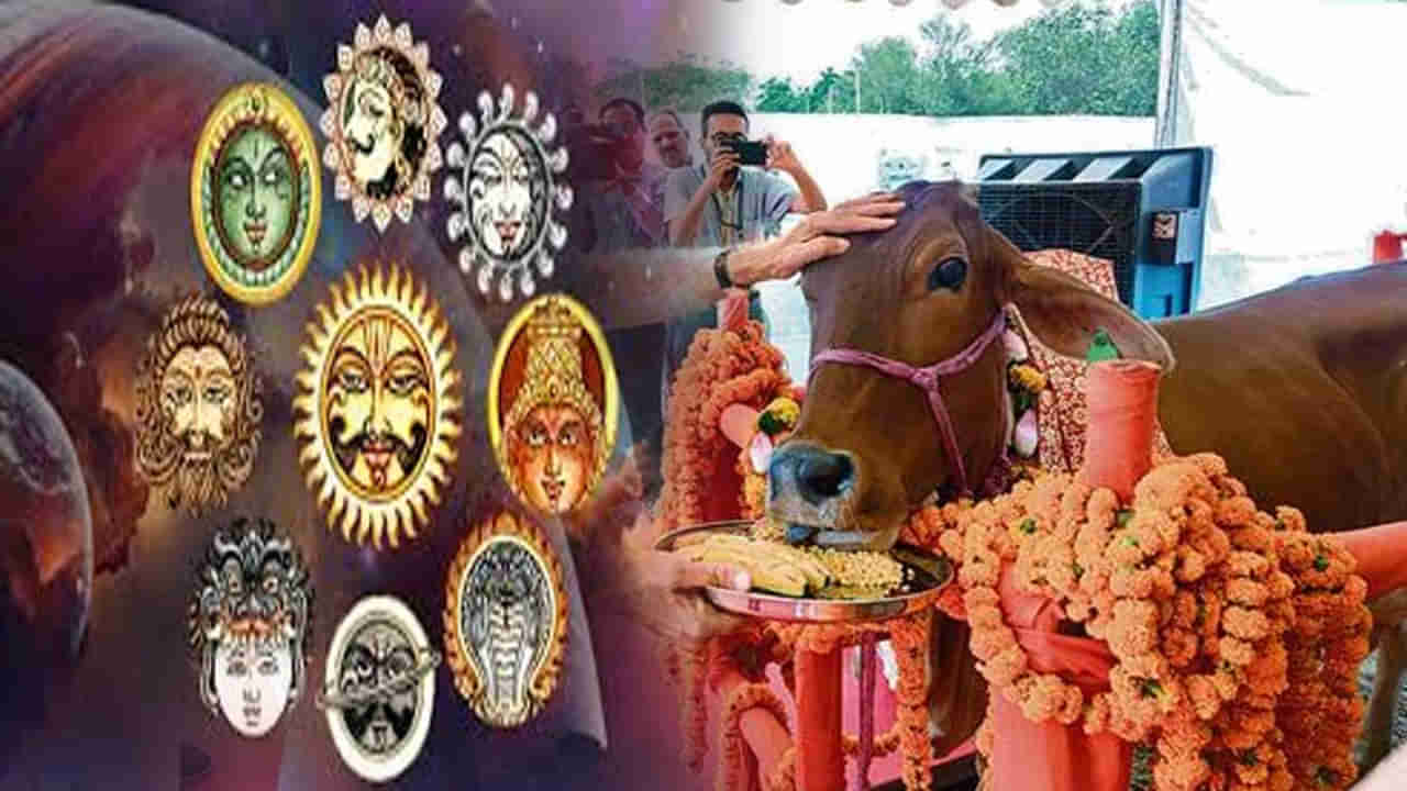 గ్రహ దోషాలతో ఇబ్బంది పడుతున్నారా.. ఆవుకి ఆహారం పెడితే గ్రహాలు శాంతిస్తాయి..ఏ దోషానికి ఏ ఆహారం అందించాలంటే