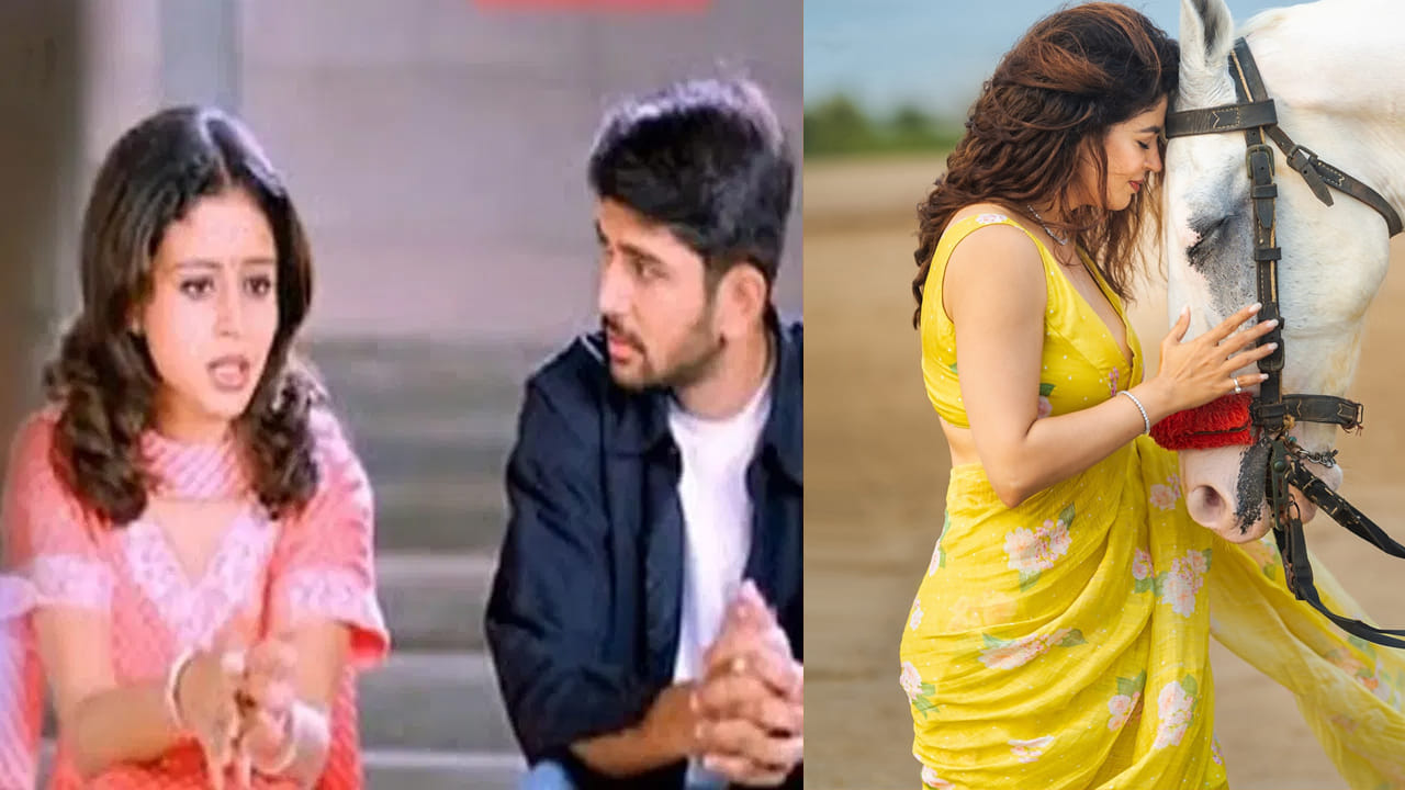 Actress: 17 ఏళ్లకే తెలుగులో తోపు హీరోయిన్.. విడాకులు తీసుకున్న వ్యక్తితో ప్రేమాయణం.. ఇప్పుడేం చేస్తుందంటే..