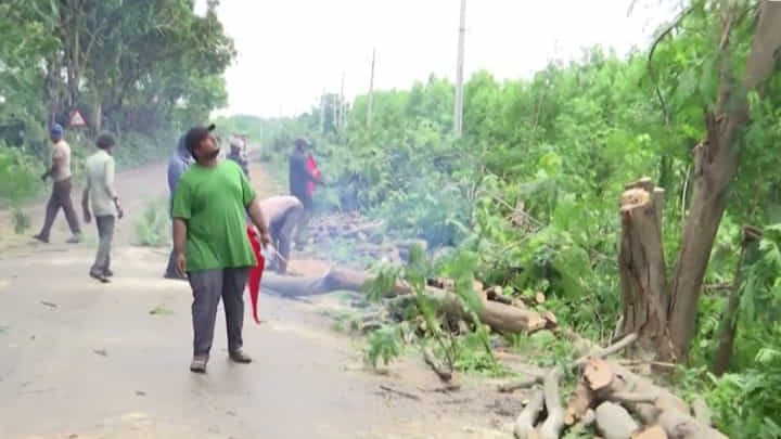 NH44 : అభివృద్ధి పేరుతో చెట్లను తొలగించాలా? NH44 : అభివృద్ధి పేరుతో చెట్లను తొలగించాలా?
