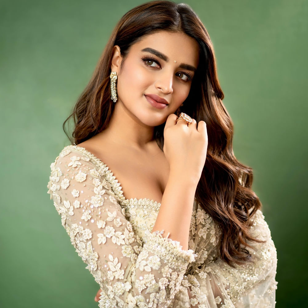 ఇటీవలే పవన్ కళ్యాణ్ సరసన హరి హర వీరమల్లు సినిమాతో అడియన్స్ ముందుకు వచ్చింది. ఈ సినిమాకు పాజిటివ్ టాక్ వచ్చింది. ప్రస్తుతం ఈ అమ్మడు ప్రభాస్ సరసన రాజా సాబ్ చిత్రంలో నటిస్తుంది. ఈ సినిమాతో సరైన బ్రేక్ కోసం చూస్తుంది. 