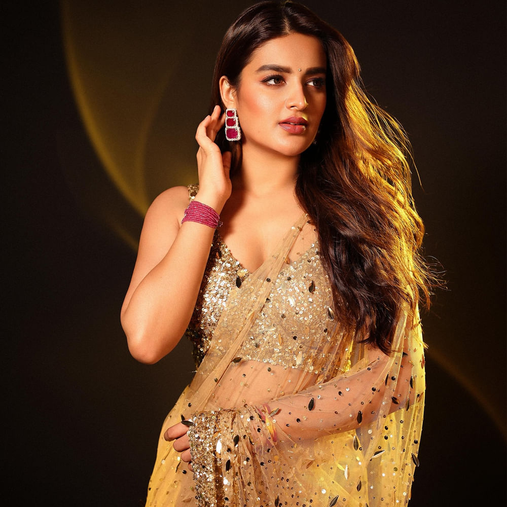 డైరెక్టర్ మారుతి దర్శకత్వం వహిస్తున్న పాన్ ఇండియా మూవీ రాజా సాబ్  ఈ ఏడాదిలో విడుదల కానుంది. ఈ సినిమాతోపాటు నిధికి తెలుగు, తమిళం భాషలలో మరిన్ని ఆఫర్స్ వస్తున్నట్లు తెలుస్తోంది. మరోవైపు సోషల్ మీడియాలో చాలా యాక్టివ్ గా ఉంటుంది. 