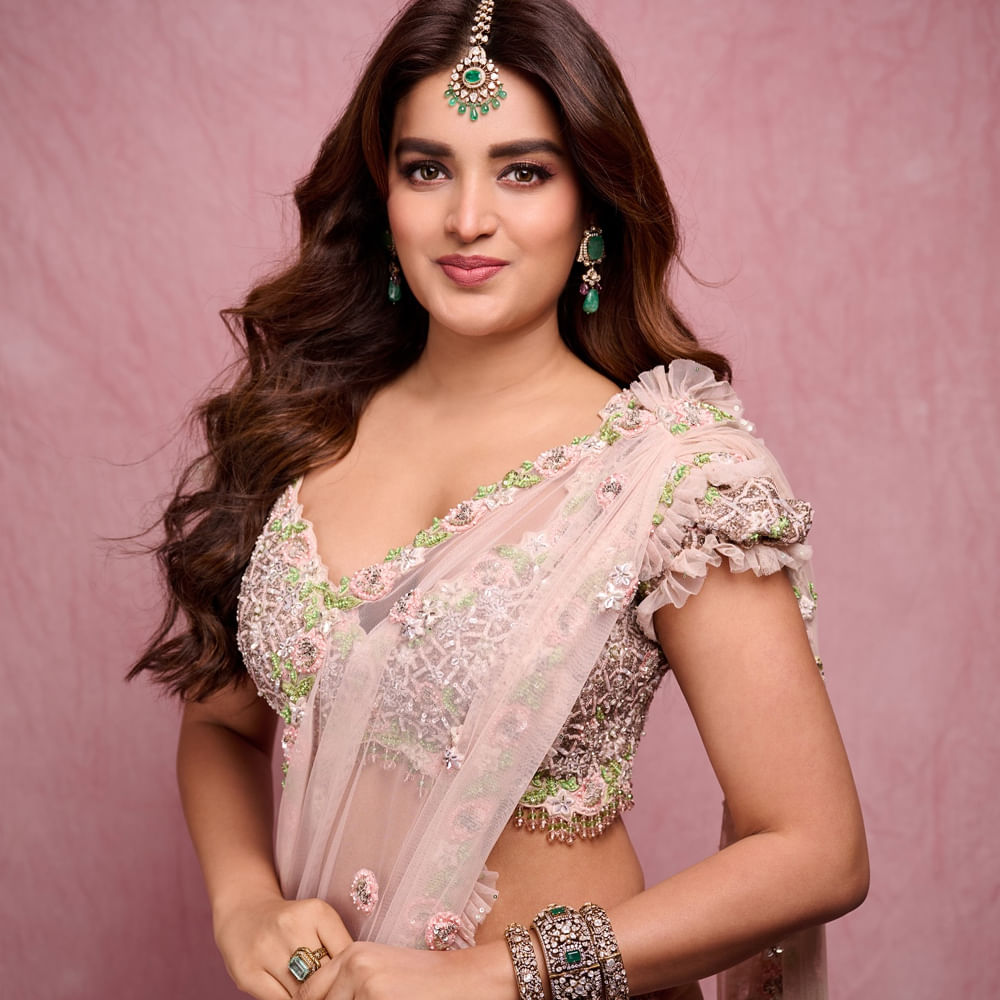 తెలుగులో మిస్టర్ మజ్ను, హీరో వంటి చిత్రాల్లో నటించింది. తెలుగుతోపాటు తమిళంలోనూ పలు అవకాశాలు అందుకుంది. 2019లో వచ్చిన ఇస్మార్ట్ శంకర్ మాత్రమే బాక్సాఫీస్ వద్ద సూపర్ హిట్టు అయ్యింది. ఈ మూవీతో ఏకైక విజయాన్ని అందుకుంది. 