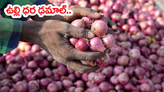 Watch Video: పాక కమ్మల్లో ఏదో మెరుస్తూ కనిపించింది.. దగ్గరకెళ్లి చూడగా గుండె పగిలే పనైంది..