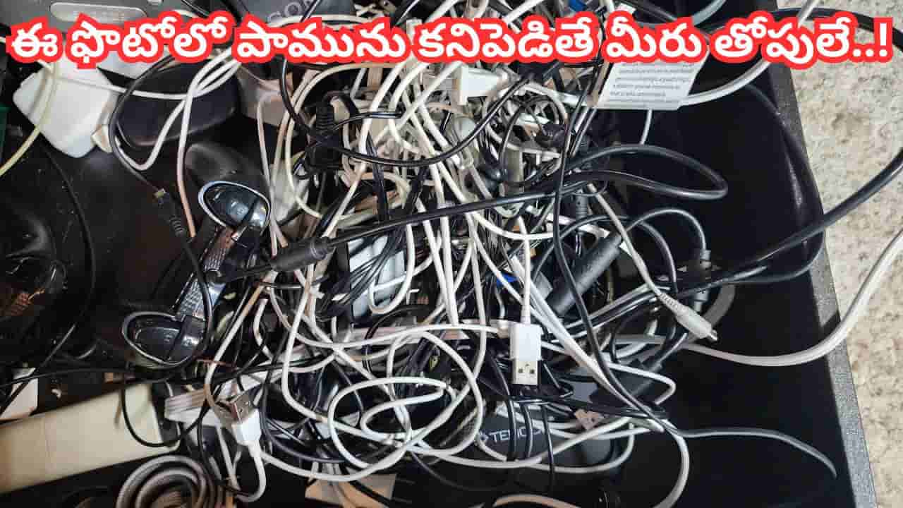Optical illusion: మీ చూపుకో ఛాలెంజ్.. మైండ్ బ్లాంక్ అయ్యే ఫొటోలో పాము ఎక్కడుందో కనిపెట్టగలరా.?