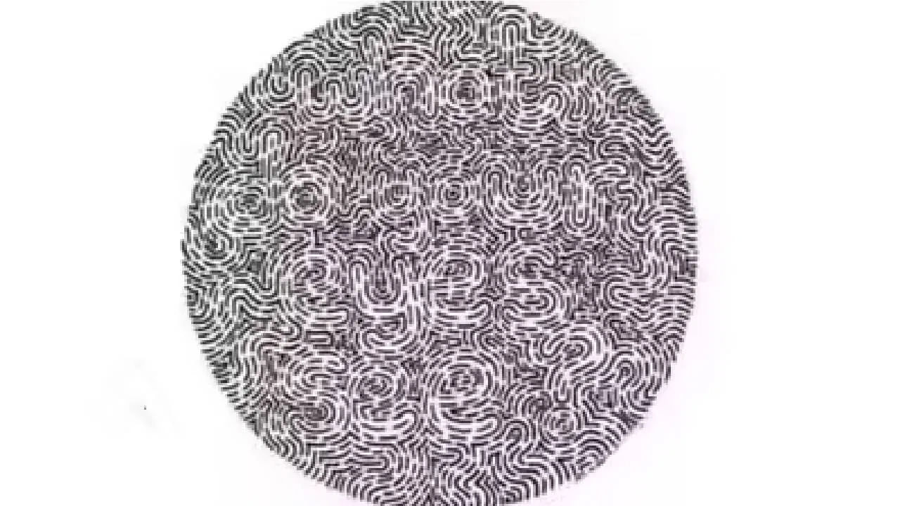 పై ఆప్టికల్ ఇల్యూషన్ ఒక బంతి ఆకారంలో కనిపిస్తుంది. అందులో నల్లటి చిన్న చిన్న గీతలు కూడా ఉన్నాయి. అలాగే అందులో ఓ ఇంగ్లీష్ పదం కూడా ఉన్నదంట. దానిని మీరు కేవలం 15 సెకన్స్లలో గుర్తిస్తే మీరు చాలా ఇంటలీజెంట్ అన్నట్లే.