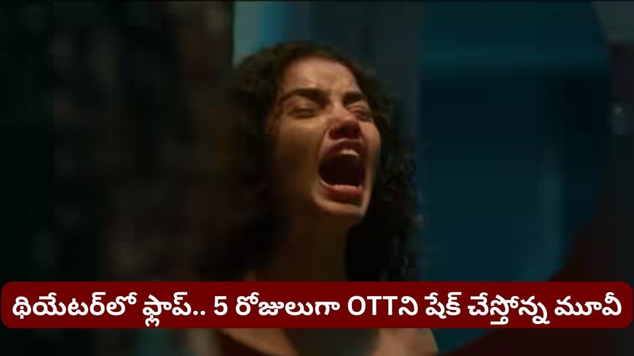 ఇద్దరు స్టార్స్.. అంచనాలకు అందని స్టోరీ.. థియేటర్స్లో అట్టర్ ఫ్లాప్.. ఓటీటీలో బ్లాక్ బాస్టర్