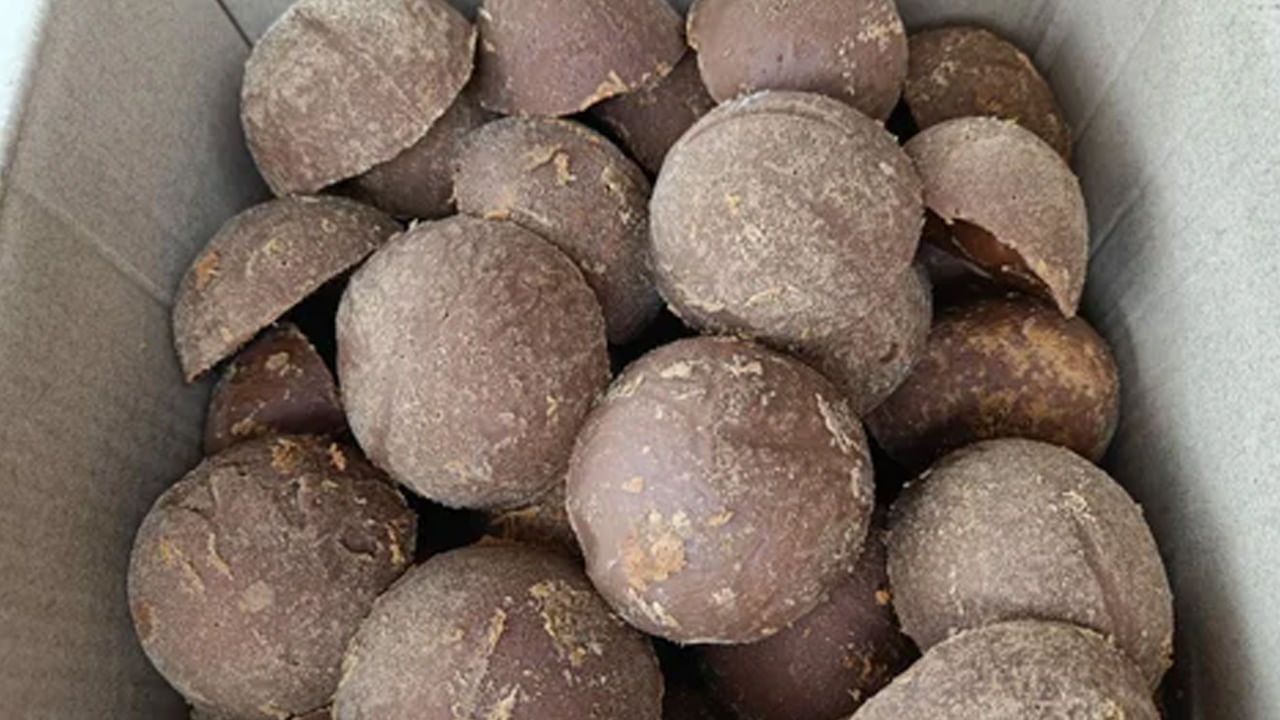 మై గ్రెయిన్ తగ్గుతుంది: గోరు వెచ్చటి నీటిలో తాటి బెల్లం కలుపుకుని తాగడం వల్ల తల నొప్పి, మై గ్రెయిన్ తలనొప్పి, జలుబు, దగ్గు వంటివి కంట్రోల్ అవుతాయి. శ్వాస కోశ సమస్యలు కూడా రాకుండా ఉంటాయి.