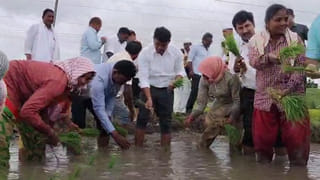 Andhra: ఏపీలో వారందరికి సర్కార్ శుభవార్త.. ఉచితంగా సెల్‌ఫోన్లు.. దరఖాస్తు ఎలాగంటే..?