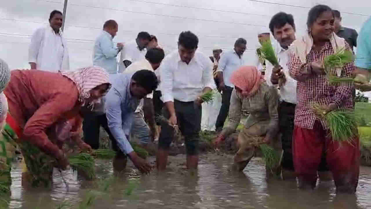 Andhra: శభాష్ ఆఫీసర్.. రైతు కూలీగా మారిన కలెక్టర్.. వరి నాట్లు వేసి ఏం చెప్పారంటే..