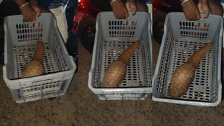 Vizag: బానే ప్లాన్ చేశావ్ కానీ పద్మ.. ఆ కాస్టూమ్‌ మాత్రం అస్సలు సెట్ అవ్వలే…