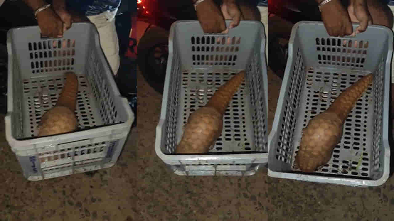 Vijayanagaram: చీకట్లో నడుస్తూ వెళ్తుండగా కనిపించింది చూసి హడలిపోయిన రైతు..