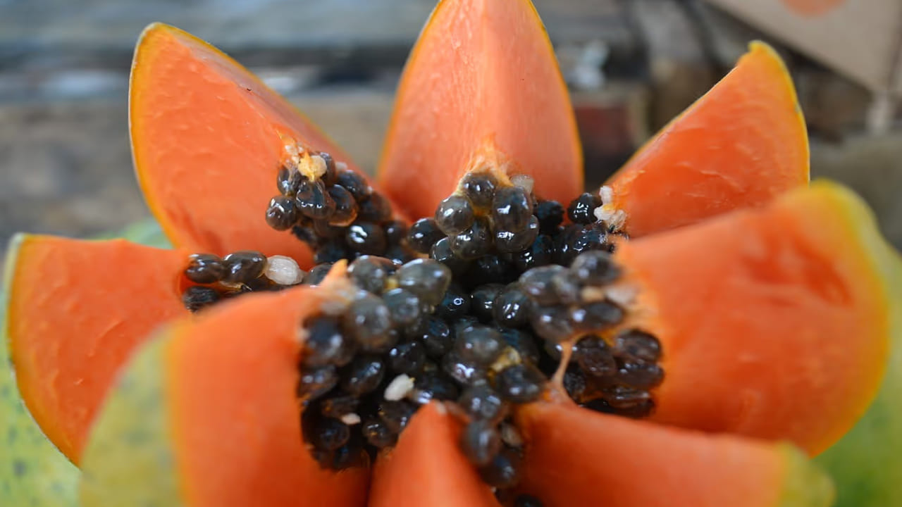 కొంతమందికి బొప్పాయి అలెర్జీ ఉండవచ్చు. ఇది దురద, దద్దుర్లు లేదా శ్వాస సమస్యలను కలిగిస్తుంది. ఇప్పటికే గుండె జబ్బులు ఉన్నవారు కూడా బొప్పాయి తినకూడదు ఎందుకంటే దాని వినియోగం వారి గుండెను ప్రభావితం చేస్తుంది. దీనితో పాటు, బొప్పాయిలో ఉండే కొన్ని అంశాలు అధిక రక్తపోటు లేదా ఇతర గుండె సంబంధిత సమస్యలను పెంచుతాయి. అందువల్ల, గుండె రోగులు వైద్యుడిని సంప్రదించిన తర్వాత మాత్రమే బొప్పాయిని తీసుకుంటే మంచిది.