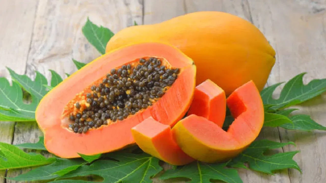 Papaya
