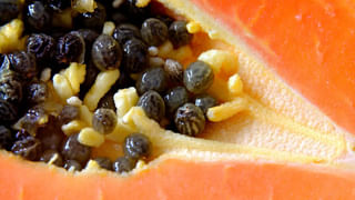 ప్రపంచంలోనే అత్యంత ఖరీదైన పాలు..లీటరు ధర తెలిస్తే కళ్లు తిరగాల్సిందే..!