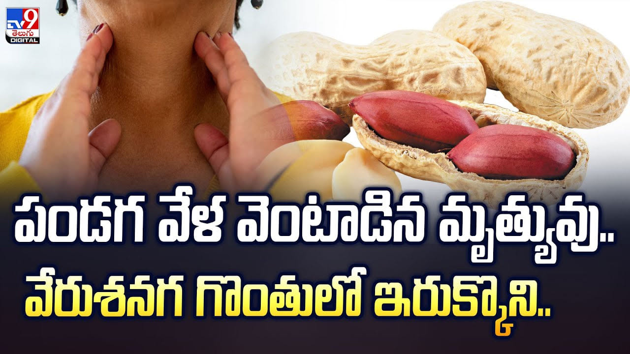 వేరుశనగ గొంతులో ఇరుక్కొని మృతి.. శోకసంద్రంలో కుటుంబం