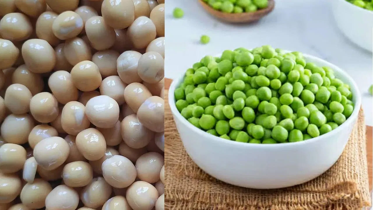 ఒకవేళ ఎవరికైనా తక్కువ రక్తపోటు ఉంటే, ఈ బఠానీలు ప్రయోజనకరంగా ఉంటాయి. అవి రక్త పరిమాణాన్ని పెంచడంలో కూడా సహాయపడతాయి. కాబట్టి బఠానీలను ఆహారంలో తప్పక చేర్చుకోవాలి. తద్వార పోషకాలు సమృద్ధిగా అందుతాయి.